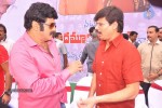 Balakrishna Birthday Celebrations  - 158 of 277