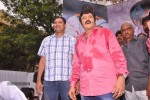 Balakrishna Birthday Celebrations  - 159 of 277