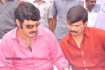 Balakrishna Birthday Celebrations  - 162 of 277