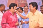 Balakrishna Birthday Celebrations  - 173 of 277