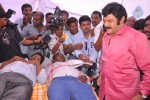 Balakrishna Birthday Celebrations  - 189 of 277