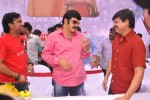 Balakrishna Birthday Celebrations  - 195 of 277