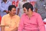 Balakrishna Birthday Celebrations  - 196 of 277