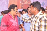 Balakrishna Birthday Celebrations  - 206 of 277