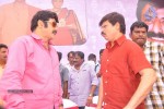 Balakrishna Birthday Celebrations  - 211 of 277