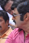 Balakrishna Birthday Celebrations  - 218 of 277