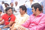 Balakrishna Birthday Celebrations  - 219 of 277