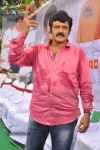 Balakrishna Birthday Celebrations  - 224 of 277