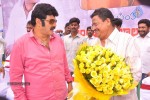 Balakrishna Birthday Celebrations  - 227 of 277