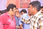 Balakrishna Birthday Celebrations  - 233 of 277