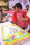 Balakrishna Birthday Celebrations  - 240 of 277