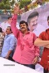 Balakrishna Birthday Celebrations  - 242 of 277