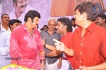 Balakrishna Birthday Celebrations  - 244 of 277