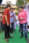 Balakrishna Birthday Celebrations  - 245 of 277