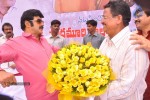 Balakrishna Birthday Celebrations  - 249 of 277