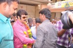 Balakrishna Birthday Celebrations  - 250 of 277