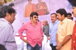 Balakrishna Birthday Celebrations  - 254 of 277