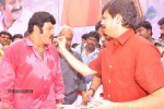 Balakrishna Birthday Celebrations  - 262 of 277