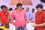 Balakrishna Birthday Celebrations  - 267 of 277