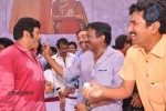 Balakrishna Birthday Celebrations  - 276 of 277