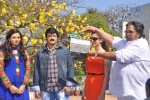 Srimannarayana Movie Opening - 106 of 130