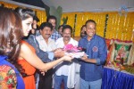 Srimannarayana Movie Opening - 125 of 130