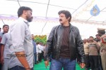 Balakrishna New Movie Opening Photos - 4 of 83