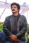 Balakrishna New Movie Opening Photos - 41 of 83