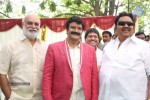 Balakrishna New Movie Opening Photos 02 - 34 of 214