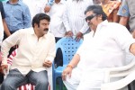 Balakrishna New Movie Opening Photos 02 - 42 of 214