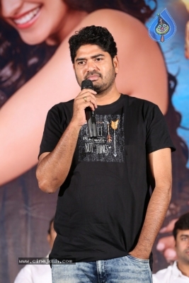 Balakrishnudu Pre Release Event Photos - 4 of 20