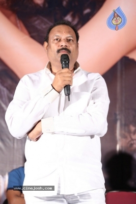 Balakrishnudu Pre Release Event Photos - 10 of 20