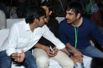 Balupu Movie Success Meet - 56 of 116