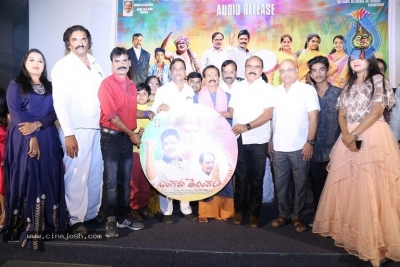 Bangaru Telangana Audio Launch - 11 of 13