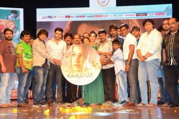 Banthi Poola Janaki Audio Launch 2 - 23 of 42