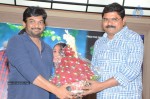 Basanti Movie Audio Success Meet - 27 of 42