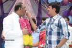 Bellamkonda Suresh Birthday Celebrations - 5 of 63