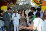 Bengal Tiger Movie Opening - 2 of 119