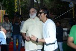 Bengal Tiger Movie Opening - 30 of 119