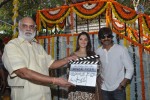 Bengal Tiger Movie Opening - 40 of 119