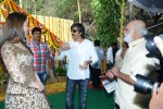 Bengal Tiger Movie Opening - 62 of 119