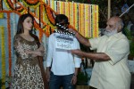 Bengal Tiger Movie Opening - 97 of 119