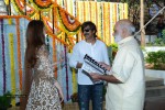 Bengal Tiger Movie Opening - 99 of 119