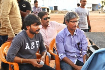 Bengal Tiger Working Photos - 5 of 9