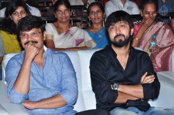 Bhale Bhale Magadivoy Audio Launch Photos 1 - 37 of 67