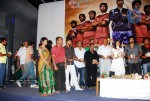 Bheemili Movie Audio Function photos - 14 of 78