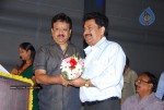 Bheemili Movie Audio Function photos - 22 of 78