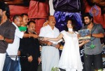 Bheemili Movie Audio Function photos - 24 of 78