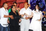 Bheemili Movie Audio Function photos - 48 of 78