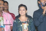 Bheemili Movie Platinum Disk Function - 4 of 28